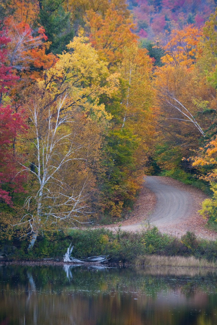 "New York Backroads" stock image