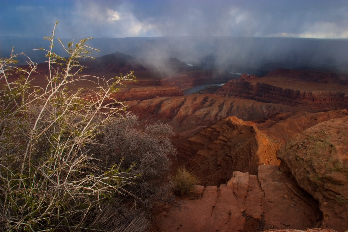 "Dramatic Stage II" stock image