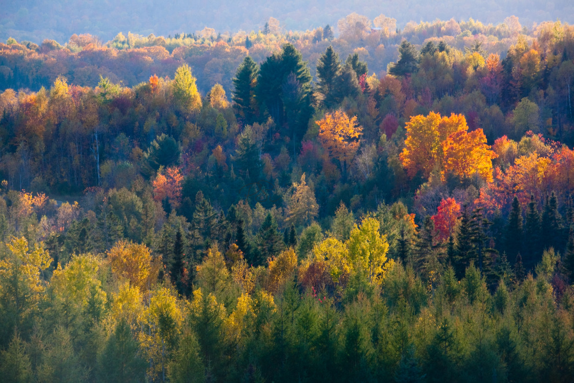 "Facing the Vermont Sun" stock image