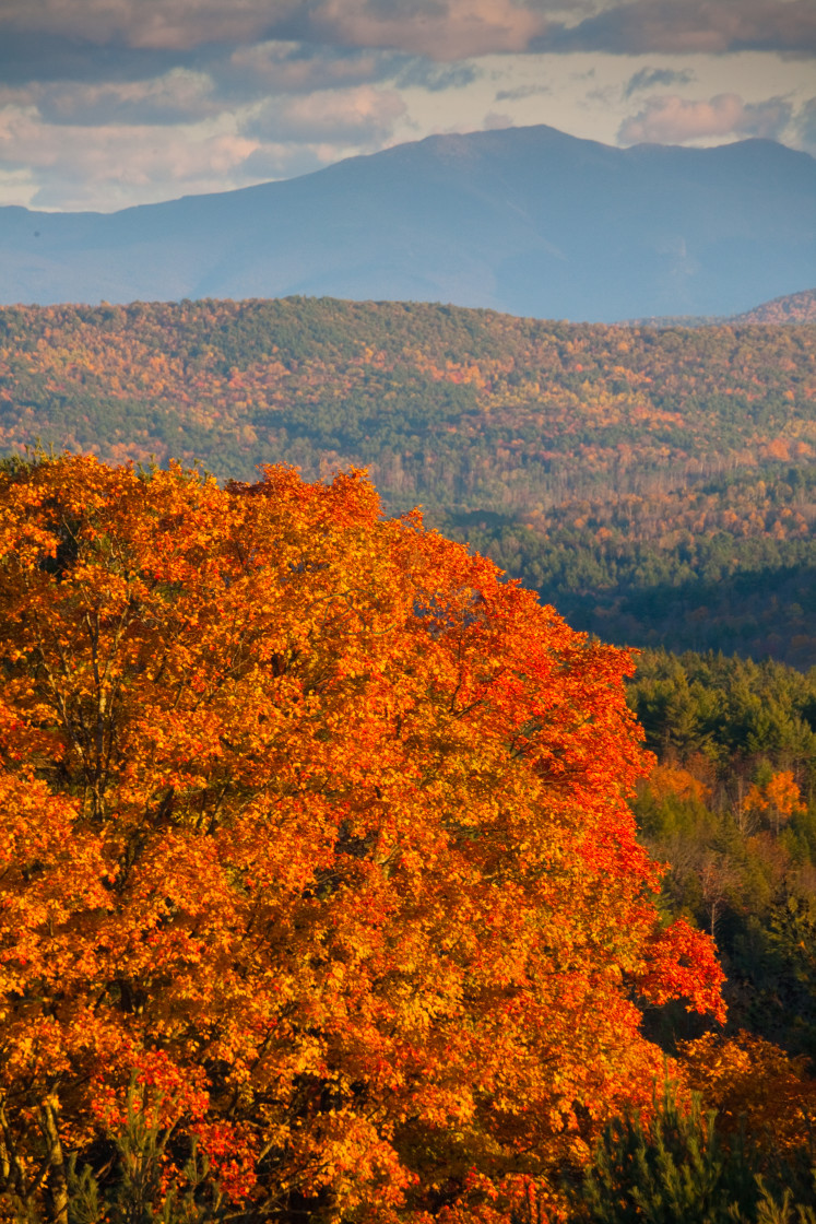 "Vermont Brilliance" stock image