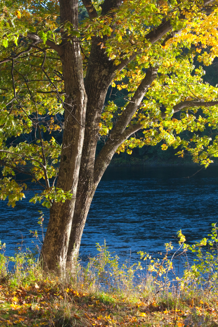 "Vermont Lazy Afternoon" stock image