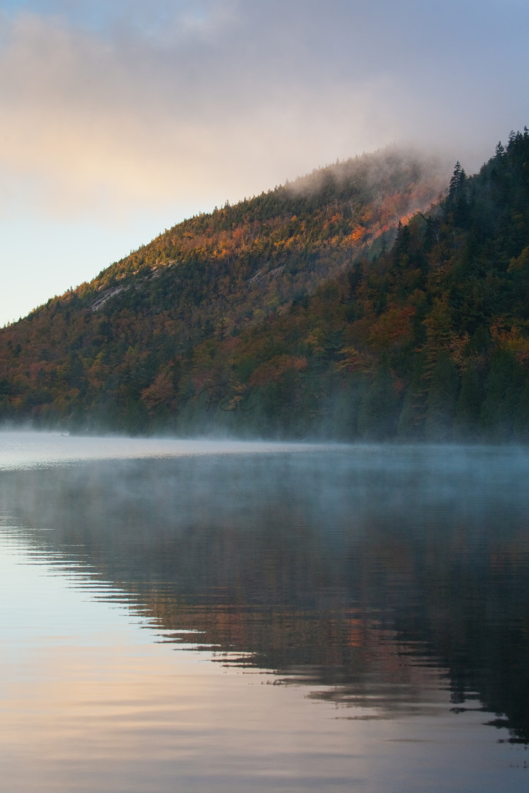 "Bubble Pond Mist" stock image