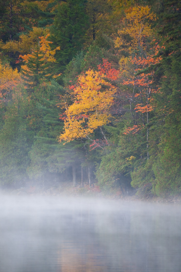 "Acadia Pond Mist III" stock image