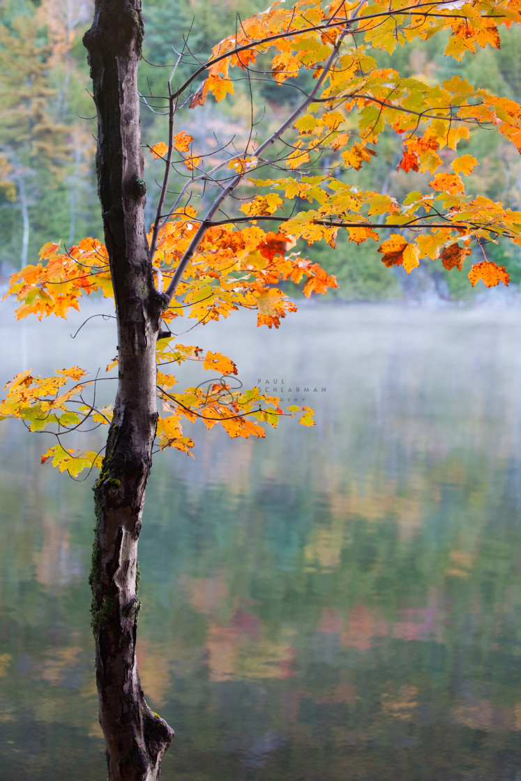 "Silent Glow" stock image