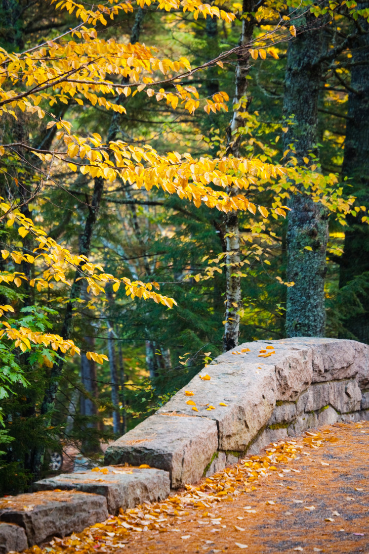 "Fall Bridge" stock image