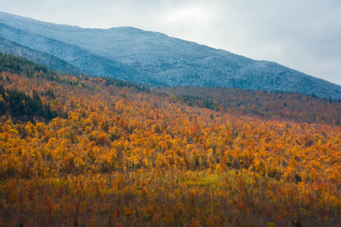 "First Snow on the White Mountains II" stock image