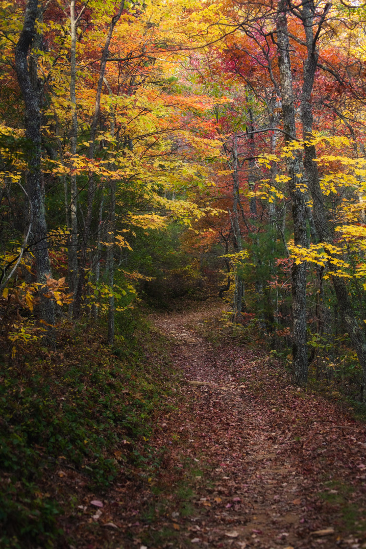 "Smoky Path" stock image