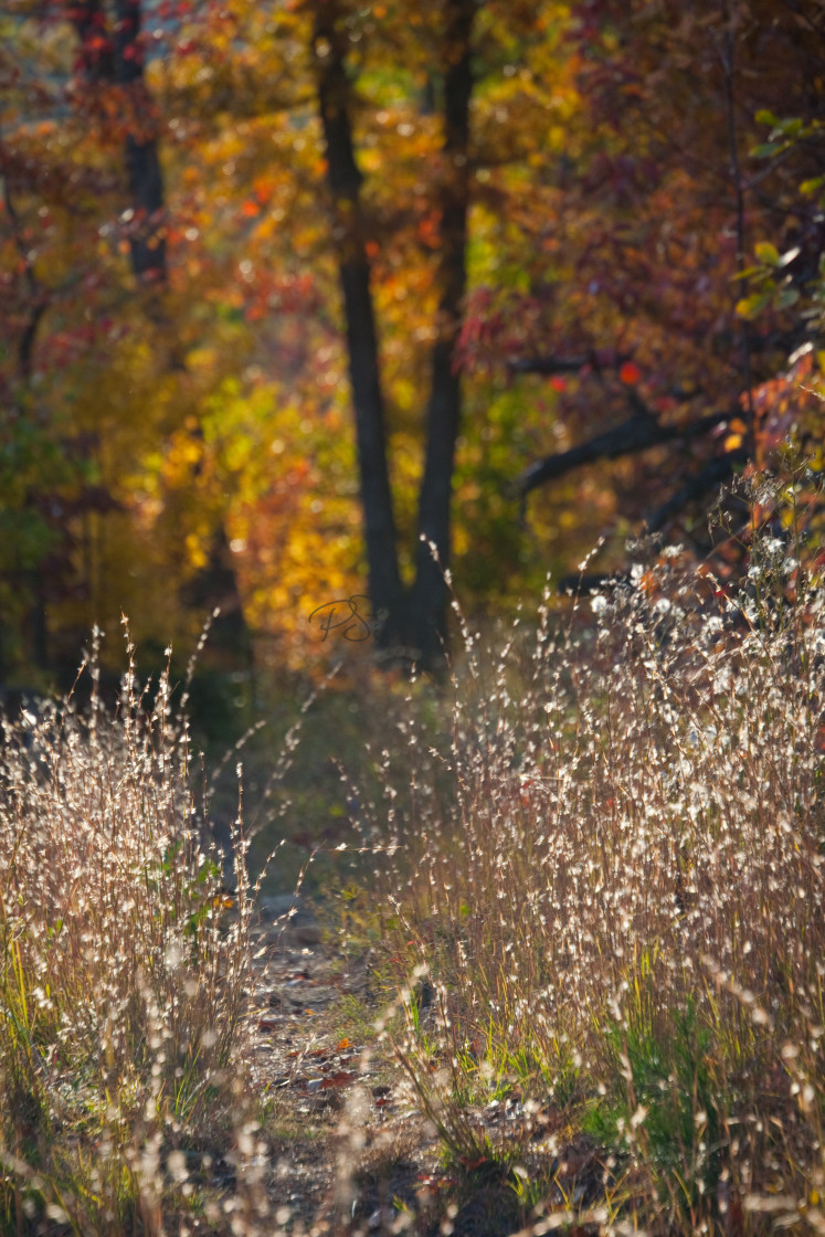 "Smoky Path II" stock image