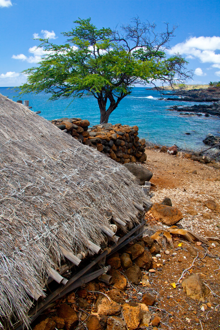 "Lapakahi State Park" stock image