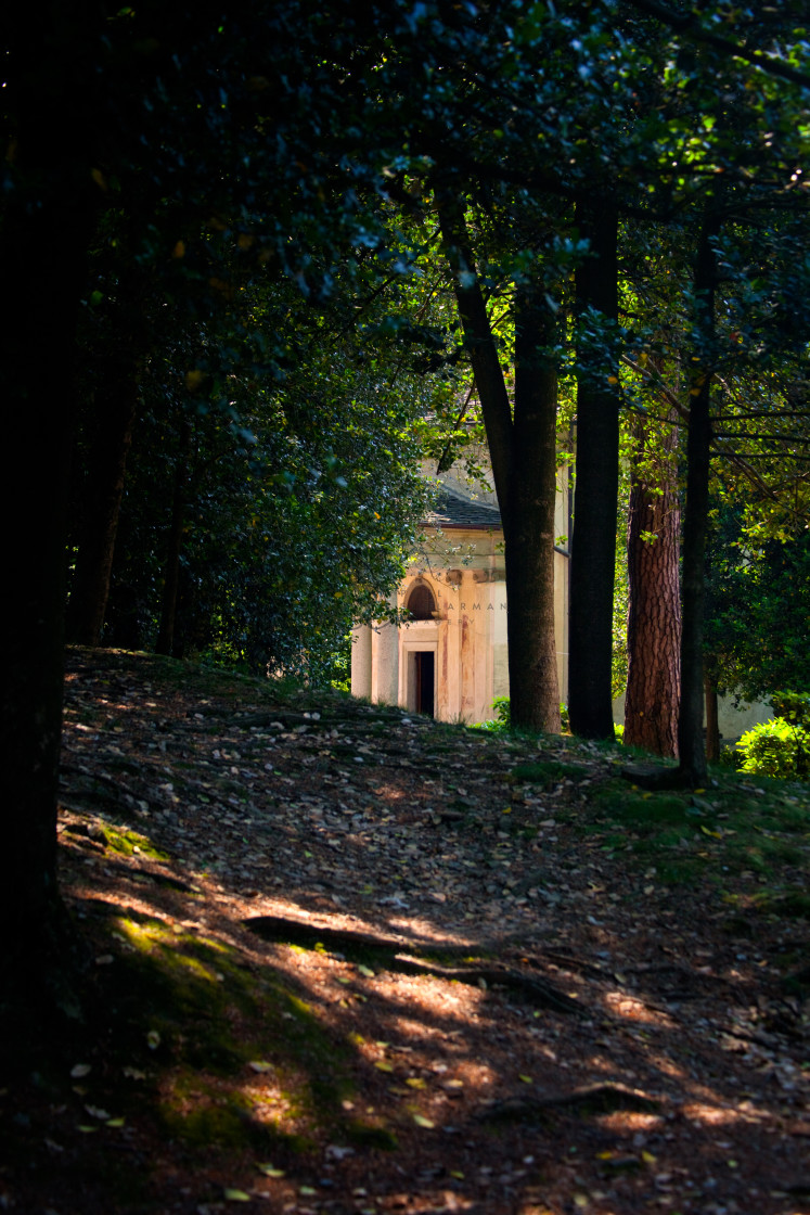 "Shady Path" stock image