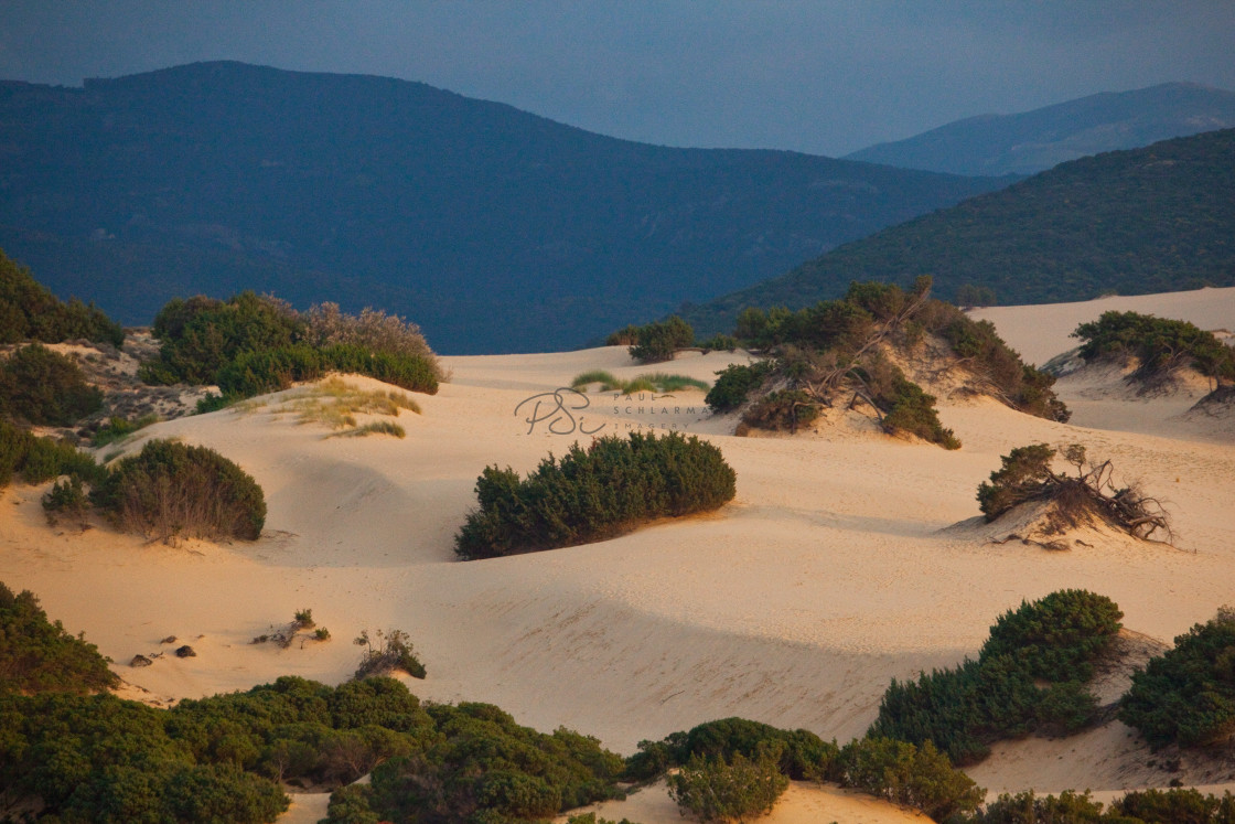 "Dunes" stock image