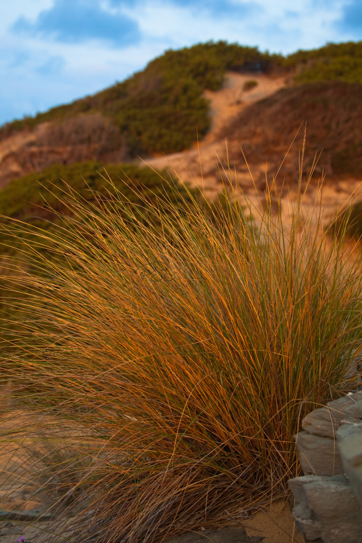 "Piscinas Details" stock image