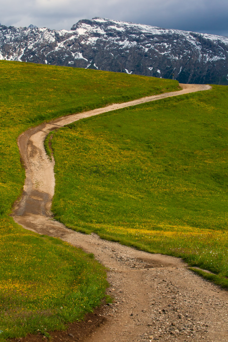 "Seiser Alm Path" by Paul Schlarman - $12.69 "Seiser Alm Path" stock image