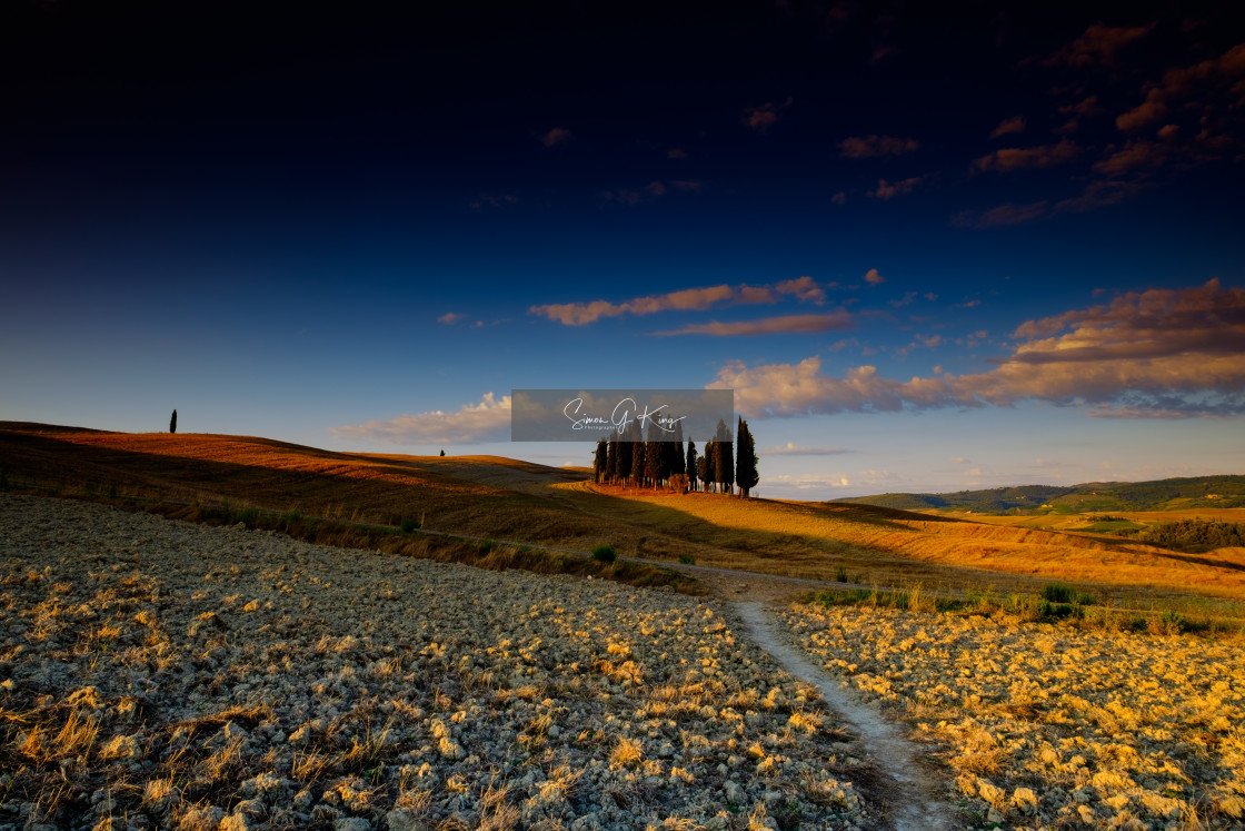 "Val d'Orcia sunrise with trees" by Simon King - $25.06 "Val d'Orcia sunrise with trees" stock image