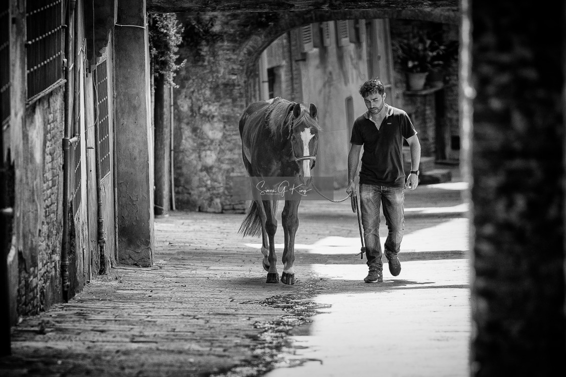 "Remorex at the stables" by Simon King - $25.06 "Remorex at the stables" stock image
