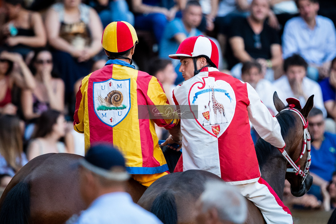 "Tittia riding for Giraffa waits for the start" by Simon King - $25.06 "Tittia riding for Giraffa waits for the start" stock image