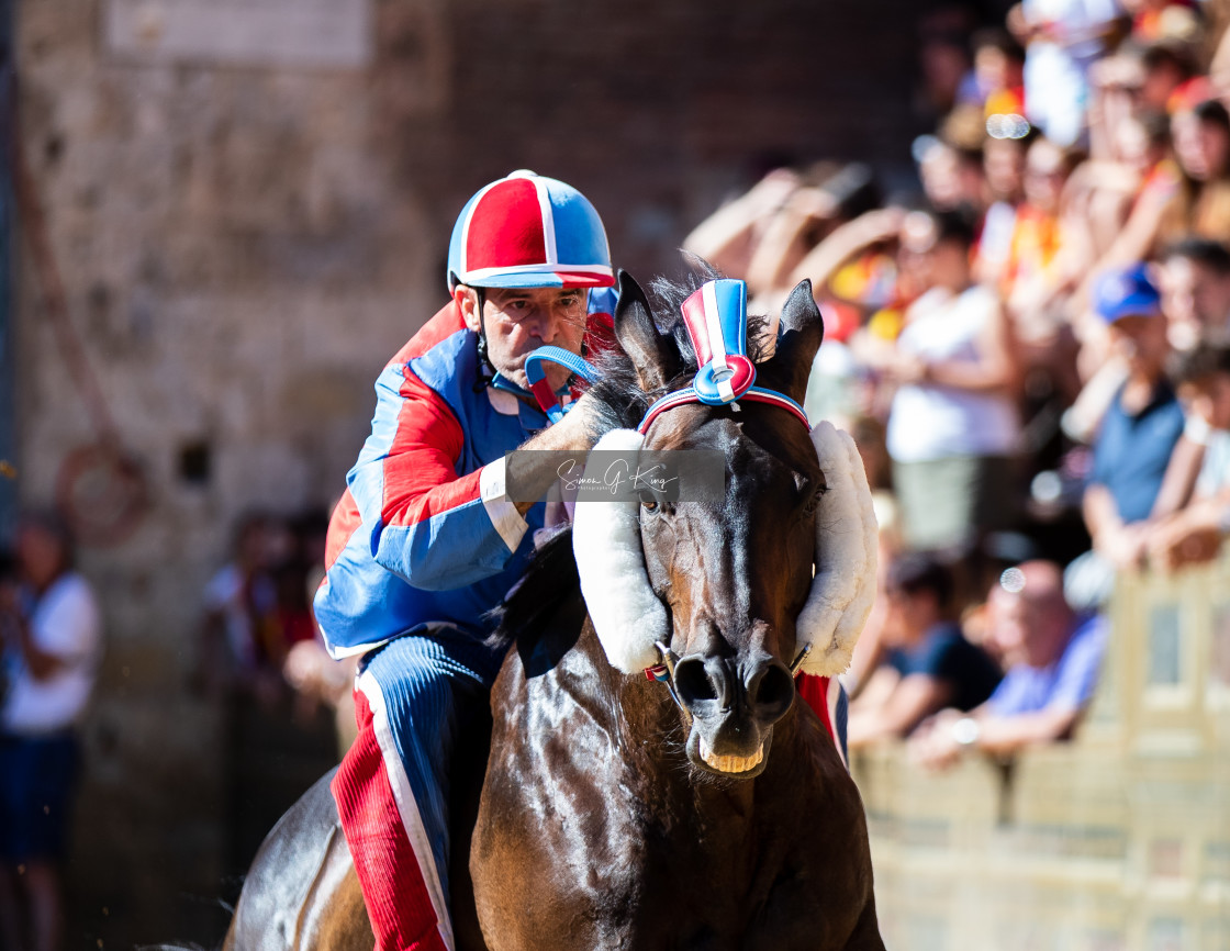 "Gigi rides Sorighittu for Pantera in the Second Prova" by Simon King - $25.06 "Gigi rides Sorighittu for Pantera in the Second Prova" stock image