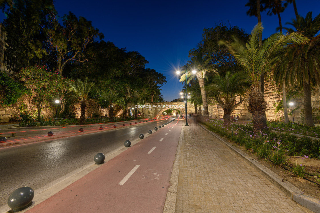 "The Avenue of Palm trees in Kos island Greece" stock image