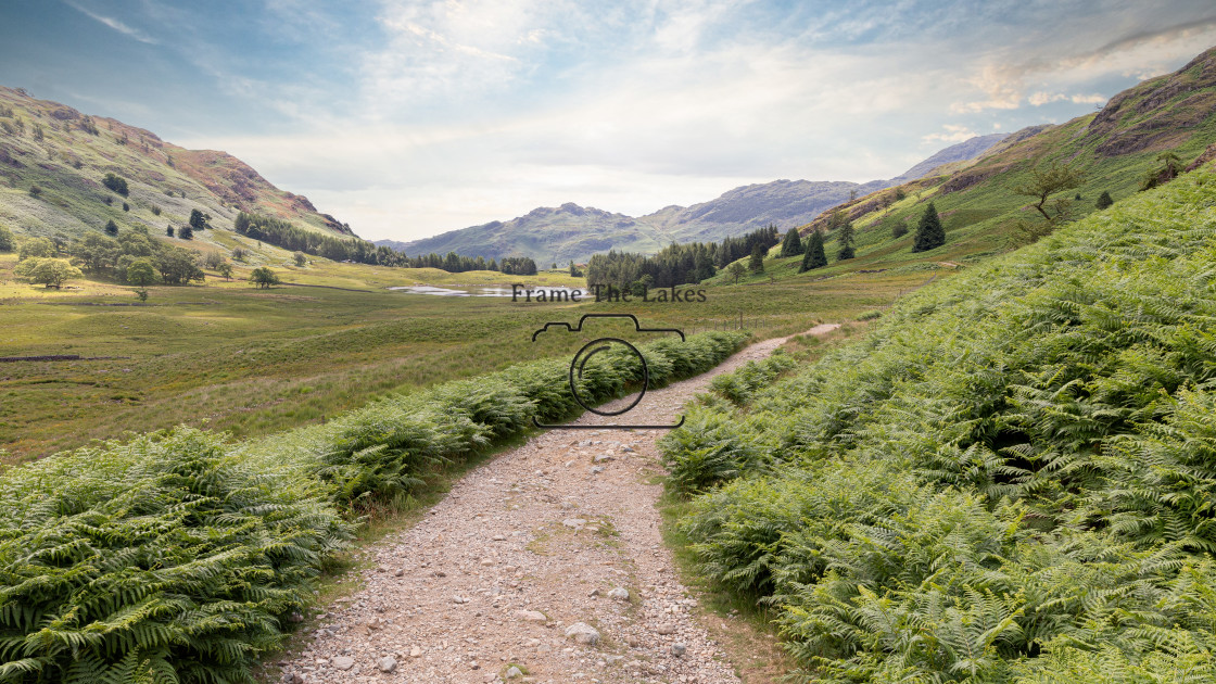 "Blea Tarn" stock image