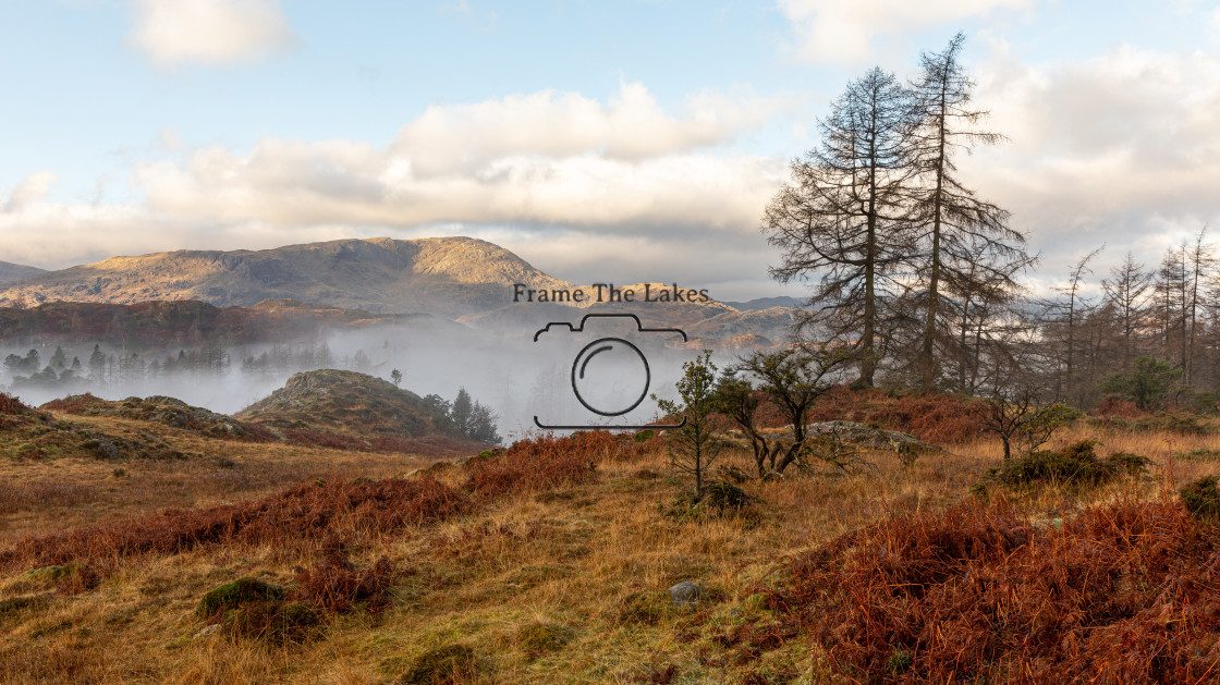 "Tarn Hows" stock image