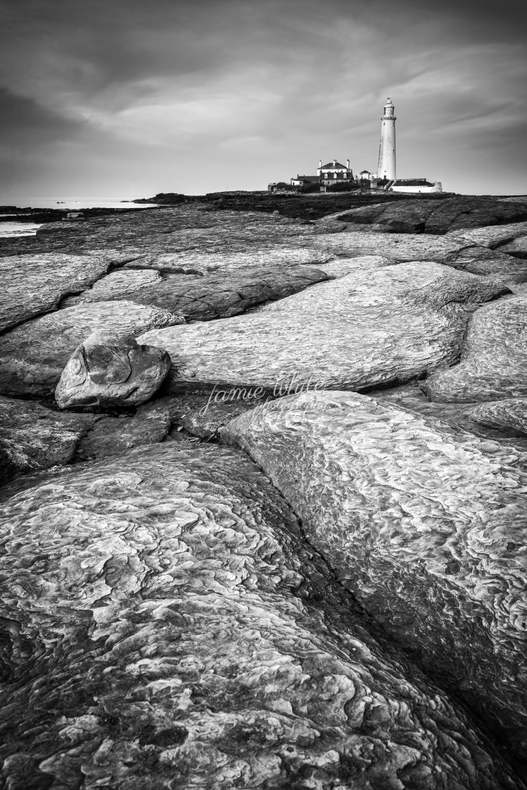 "St. Mary's Lighthouse" by Jamie White - £10.00 "St. Mary's Lighthouse" stock image