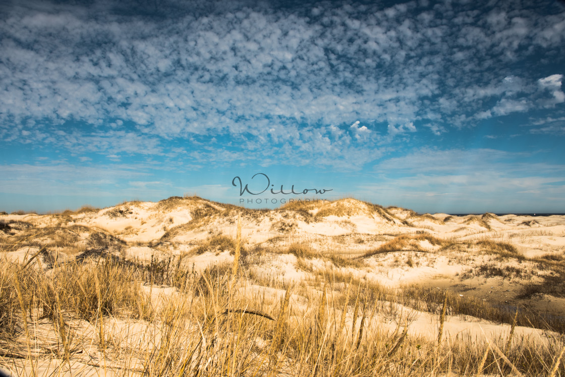 "Sand Dunes & Blue Sky" stock image