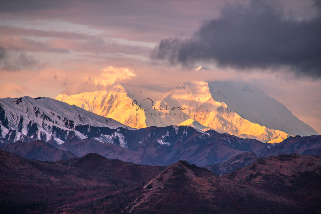 "Denali National Park" stock image