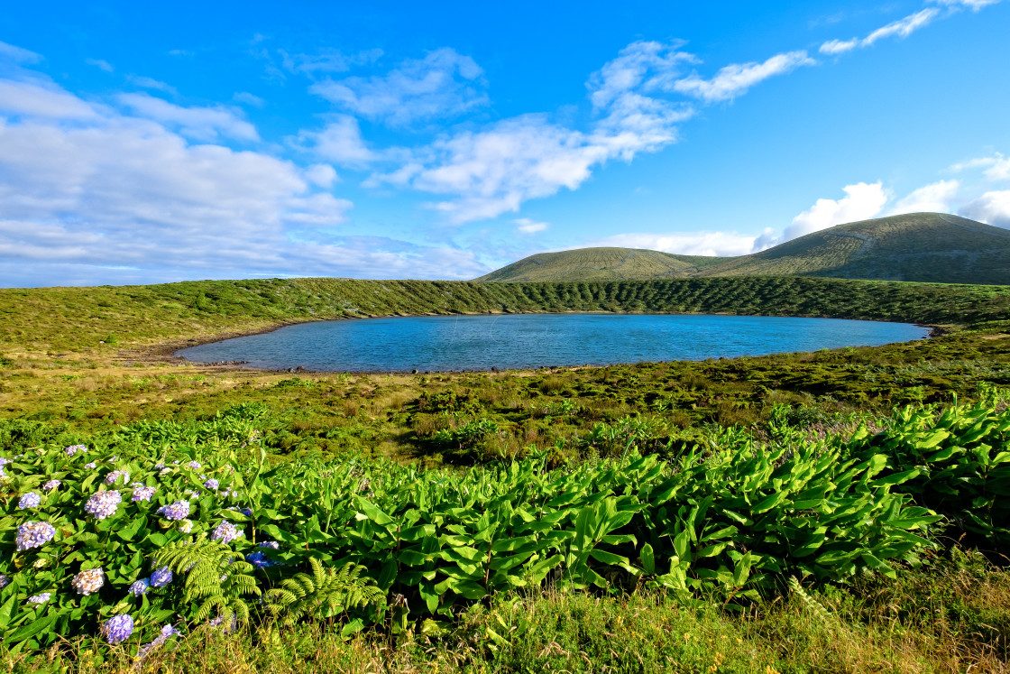 "Lagoa Rasa (Plate Lake) - Azores Islands" stock image