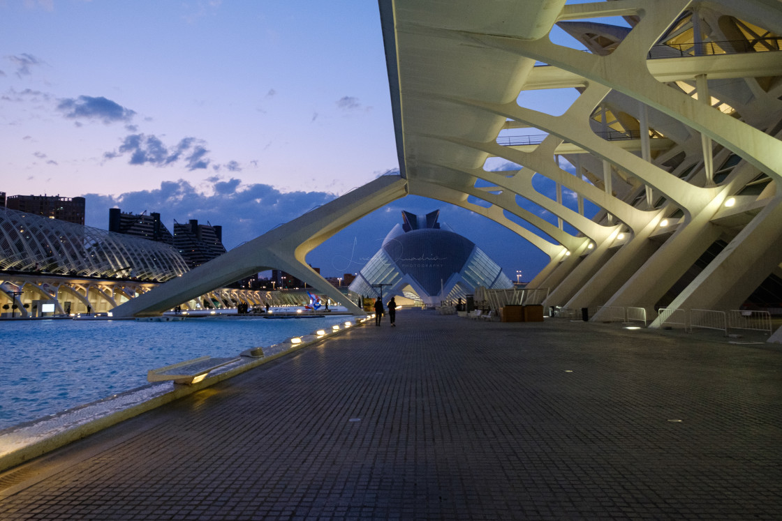 "City of Arts and Sciences" stock image