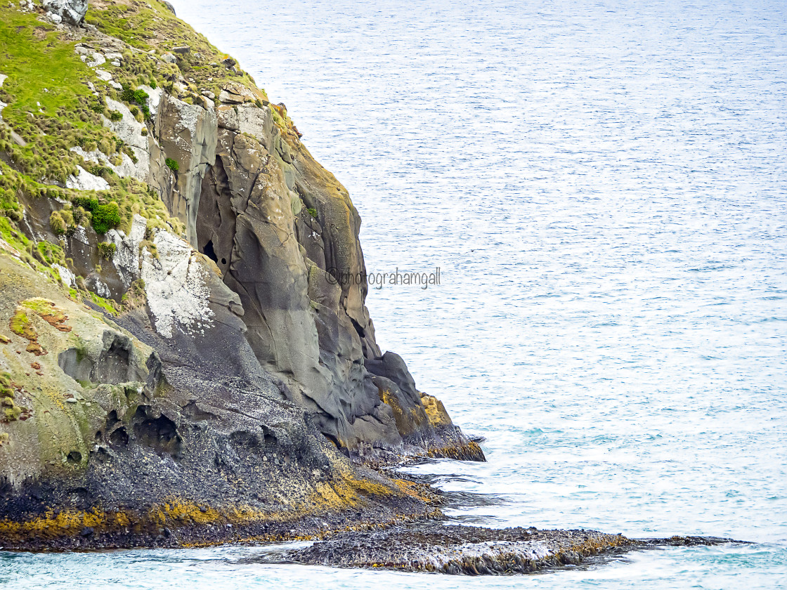 "Otago Peninsula#1" by Graham Gall - £35.00 "Otago Peninsula#1" stock image