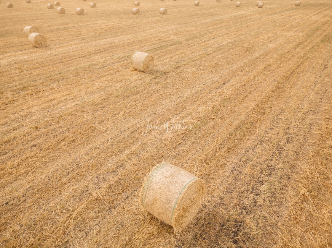 "McLaren Vale" stock image