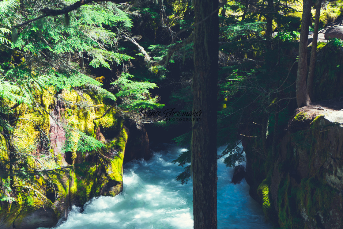 "Avalanche Lake Trail" stock image