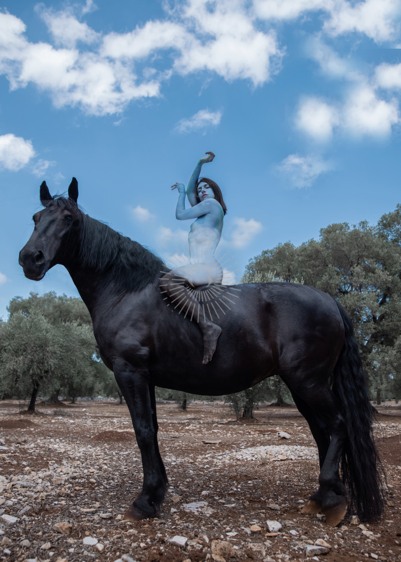 "Horse" stock image