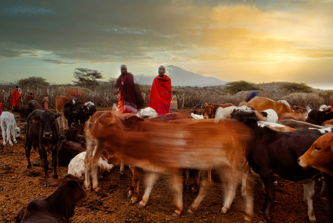 "Maasai Mara Village" stock image