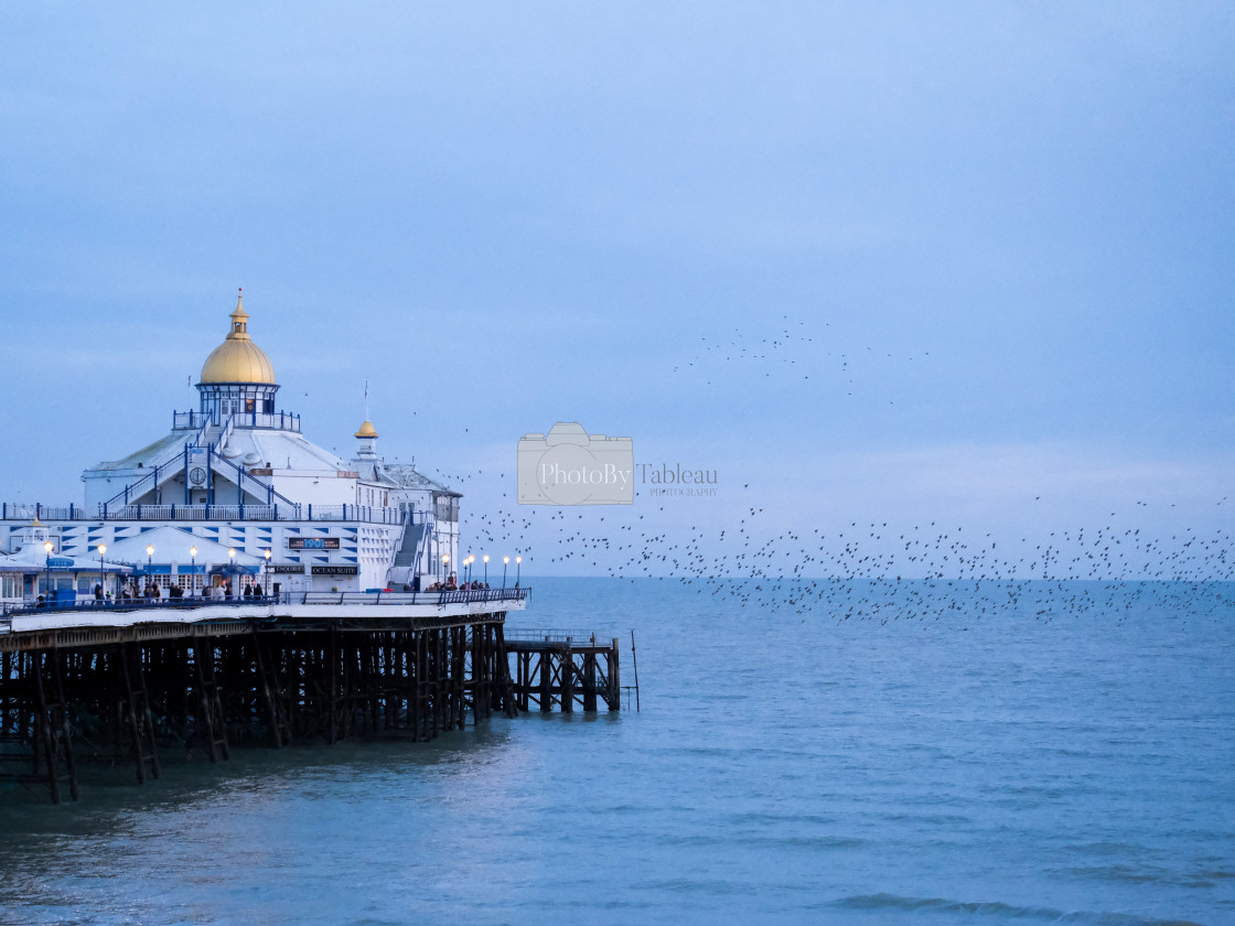 "Eastbourne Pier" stock image