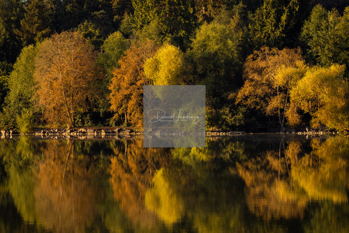 "Fall in Vancouver" stock image