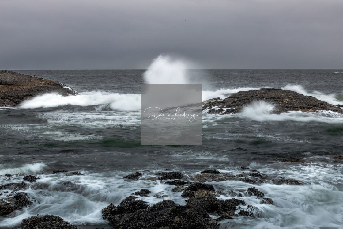 "Crashing Waves at Chesterman Beach" stock image