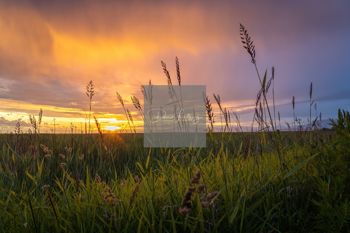 "Memories of Sunset" stock image