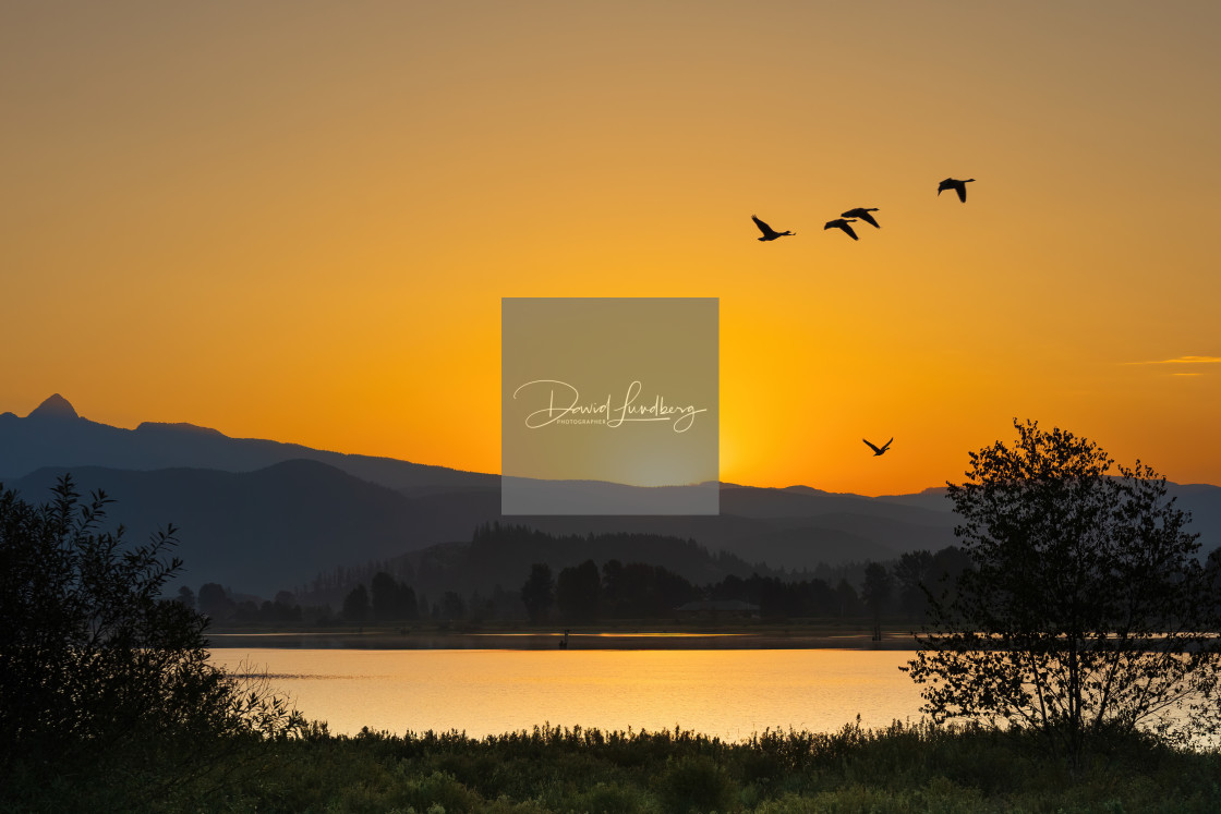 "Sunrise over the Pitt River" stock image