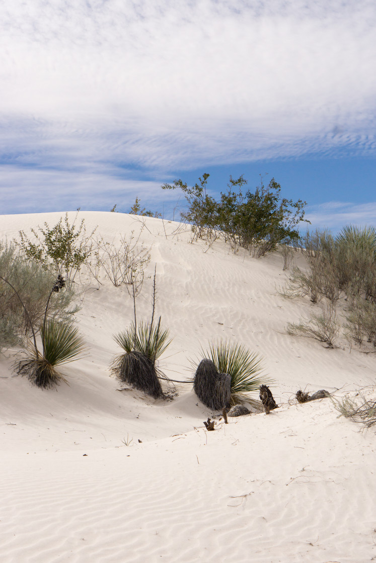 "High Sun at White Sands National Park" stock image