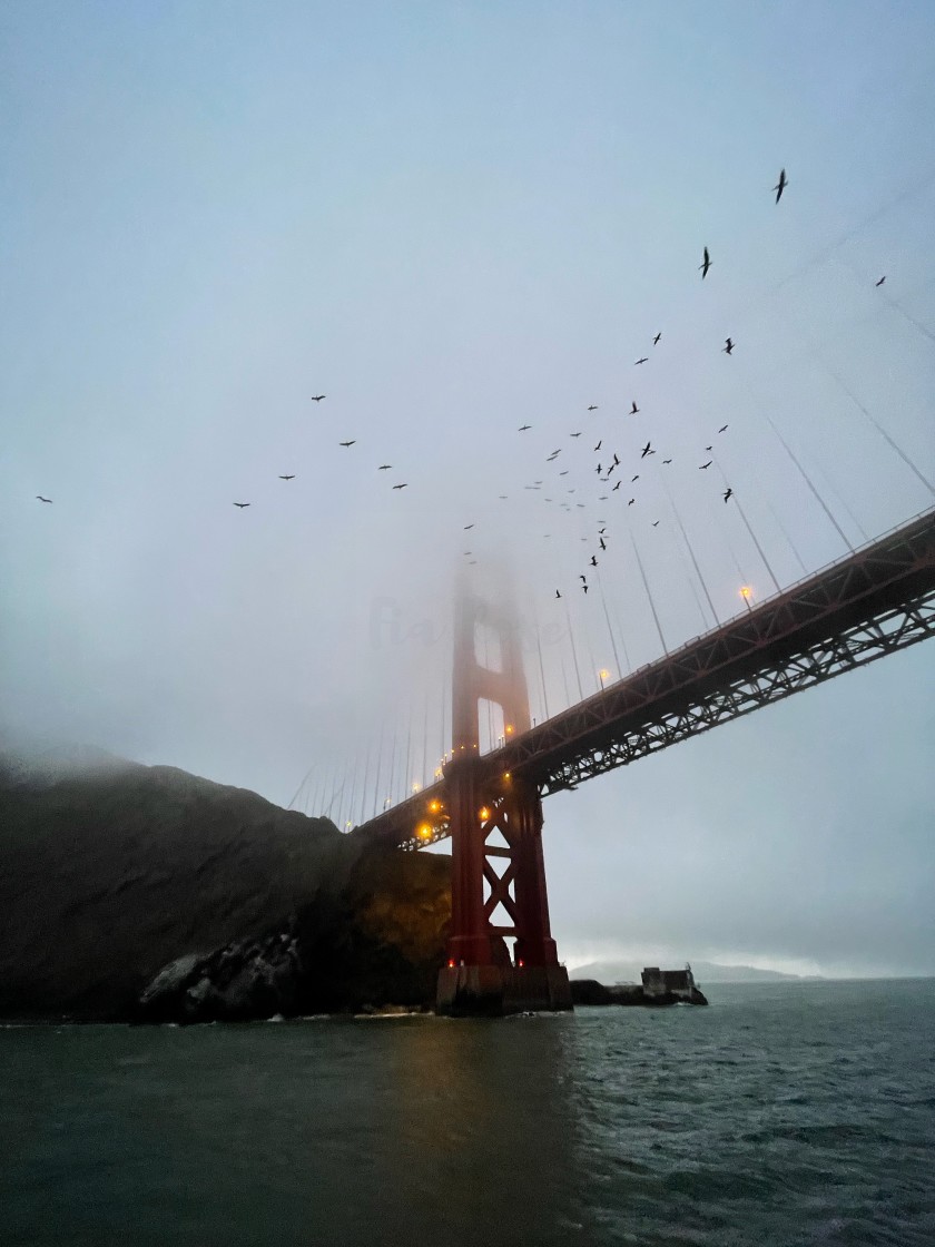 "Foggy Golden Gate" stock image