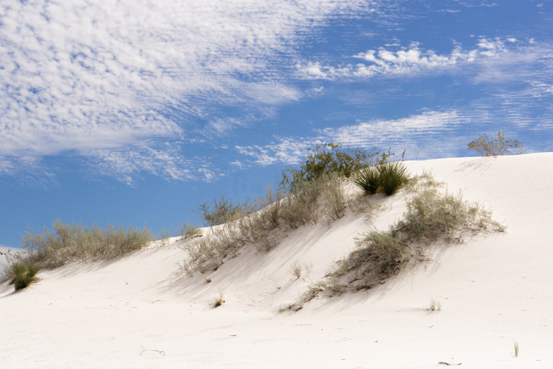 "White Sand Noontime" stock image