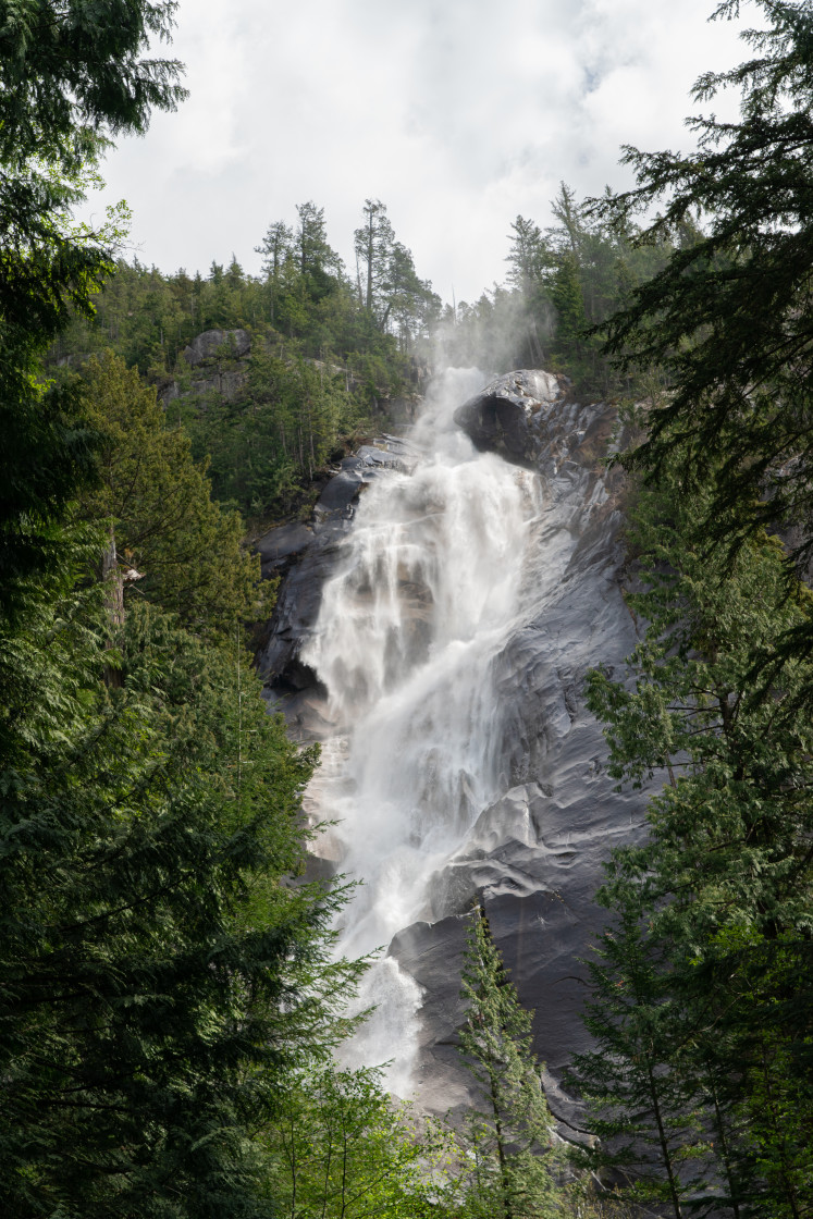 "Shannon Falls Spring" stock image