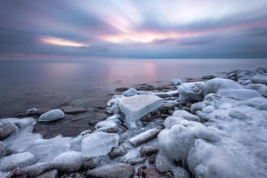 "Icy Blush" stock image