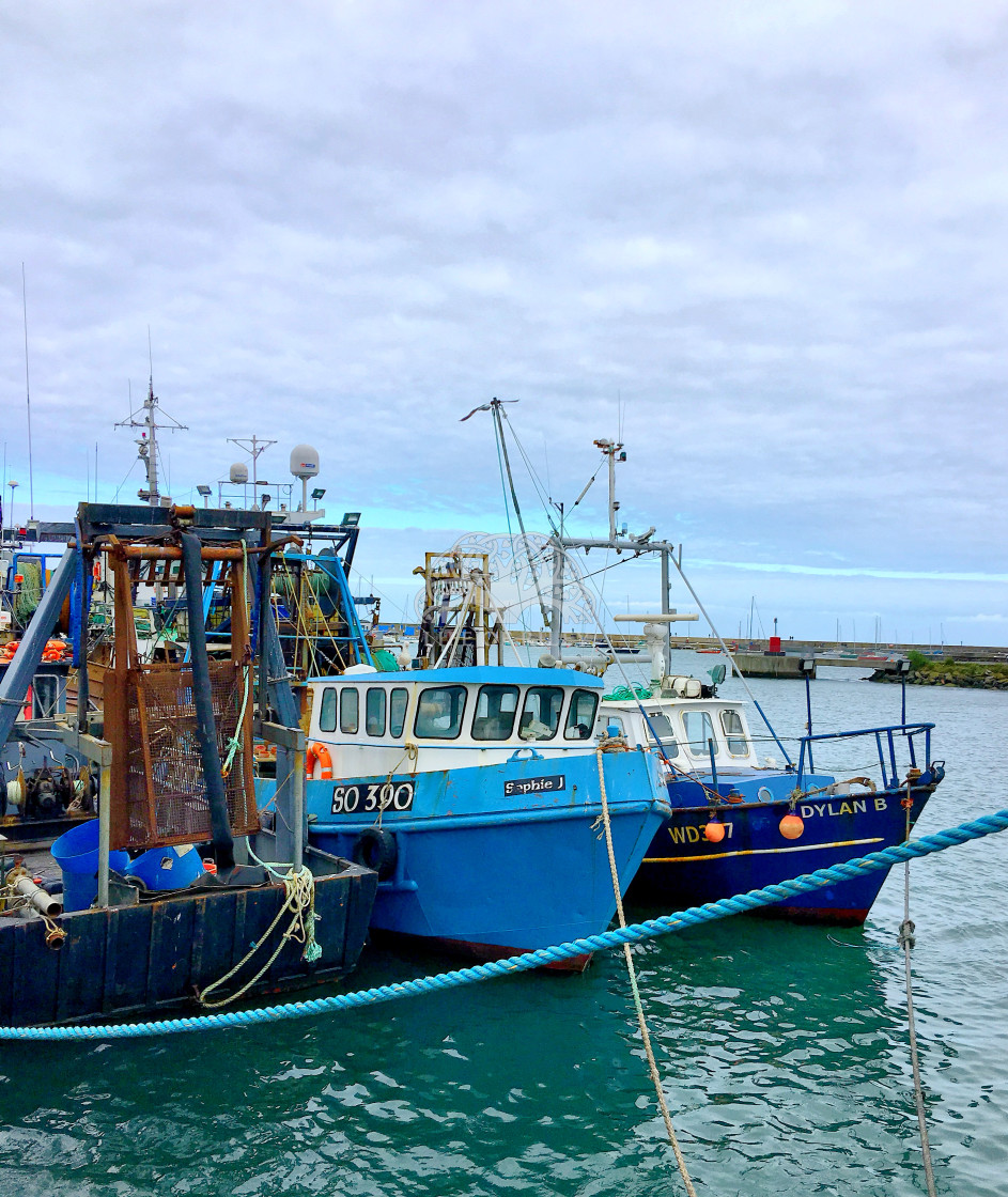 "Boats in Howth Harbour" stock image