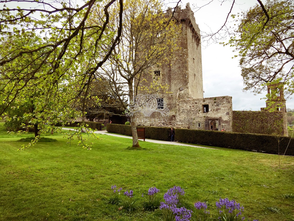 "Blarney Castle" stock image