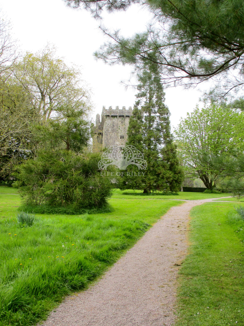 "Blarney Castle" stock image