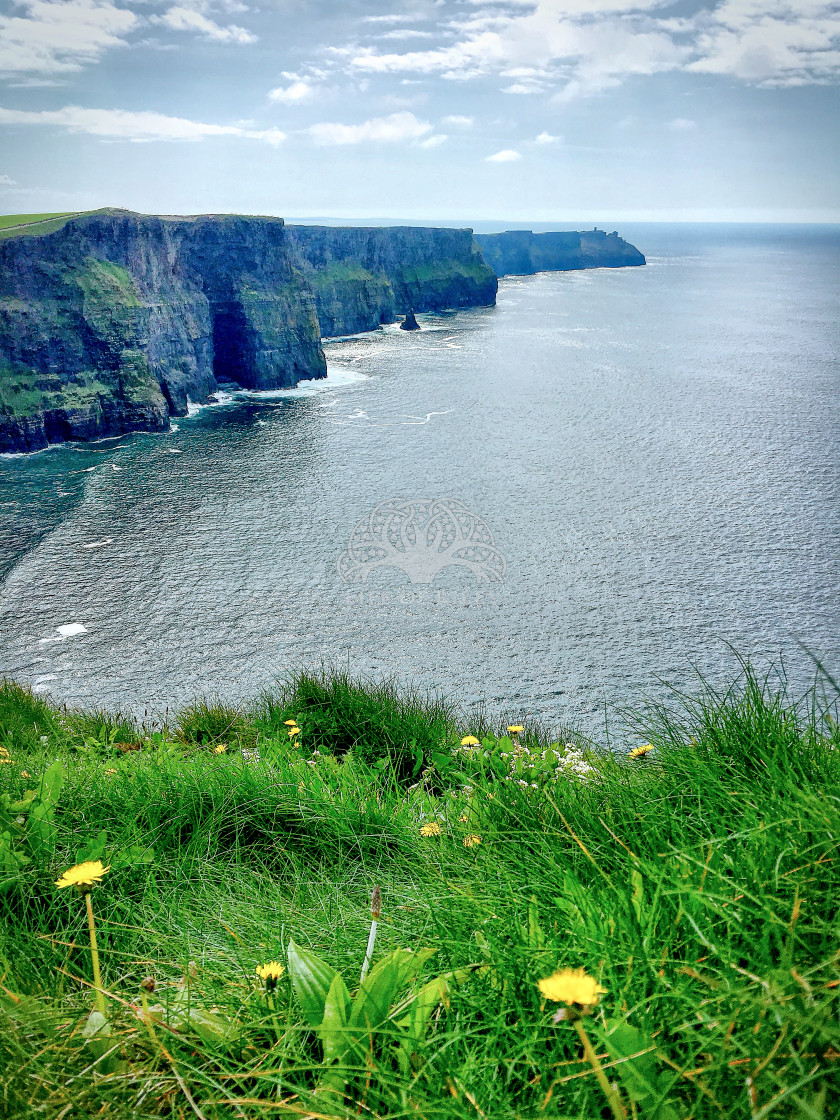 "At the Cliffs of Moher" stock image