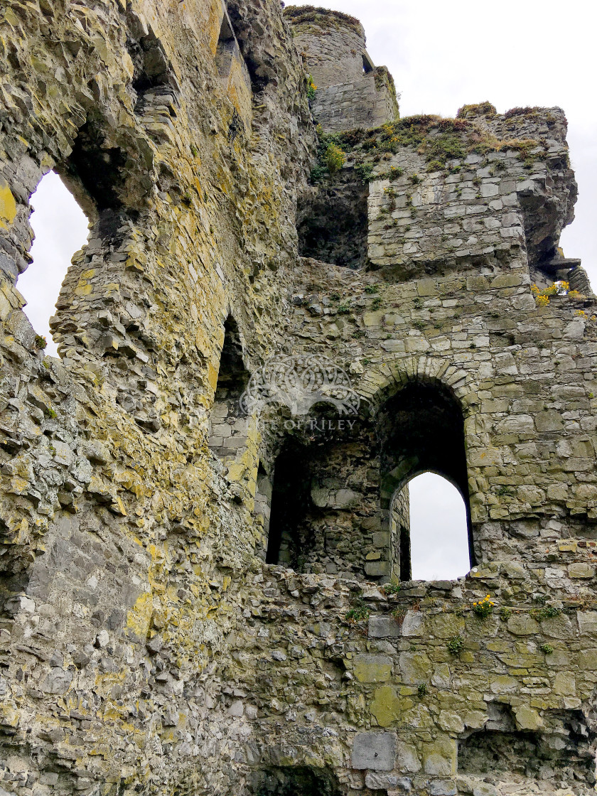 "Carlow Castle" stock image