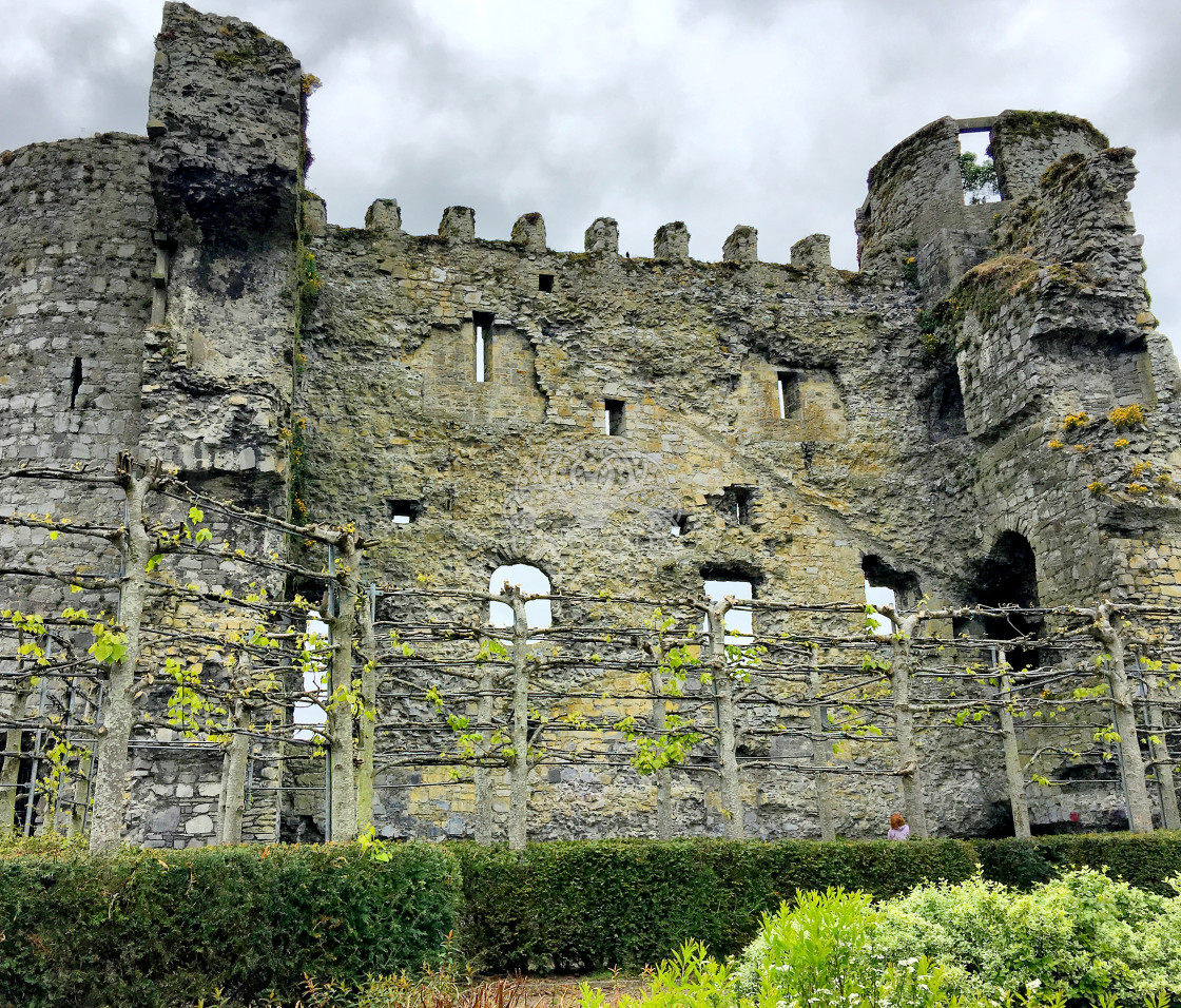 "Carlow Castle" stock image